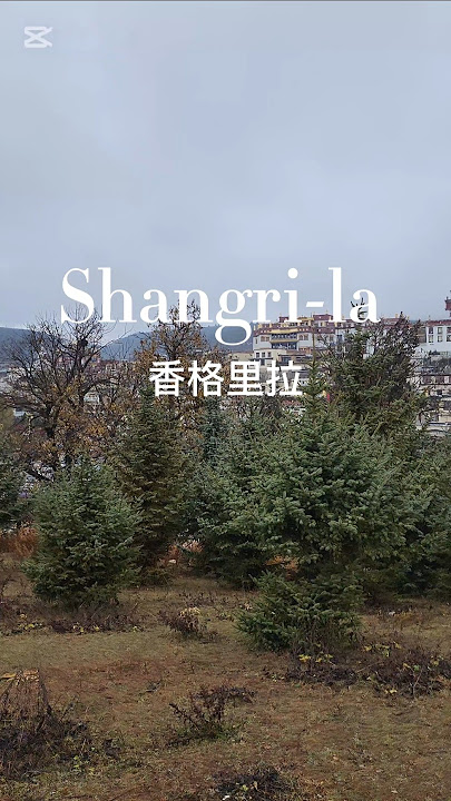 [China] Exploring Shangri-La (香格里拉), Yunnan | China
