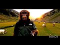 Monkey vlog (Day 2) in Kashmir #Monkeyvlog #viral How to make monkey vlog Ai video