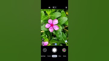Lmc 8.4 best config file make your phone camera like DSLR #lmc #camera #capcut #tech #shorts