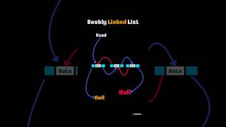 doubly linked list in Data structure Algorithm #dsa #shorts #codingtips