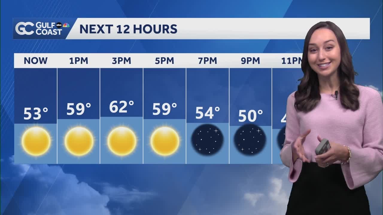 Another cold night Tuesday for Southwest Florida - YouTube