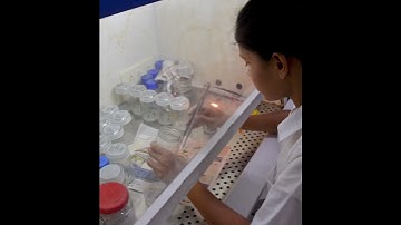 MGM University Institute of Biosciences and Technology