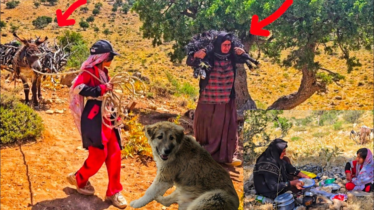 Nomadic life: gathering firewood and cooking in the heart of nature ...