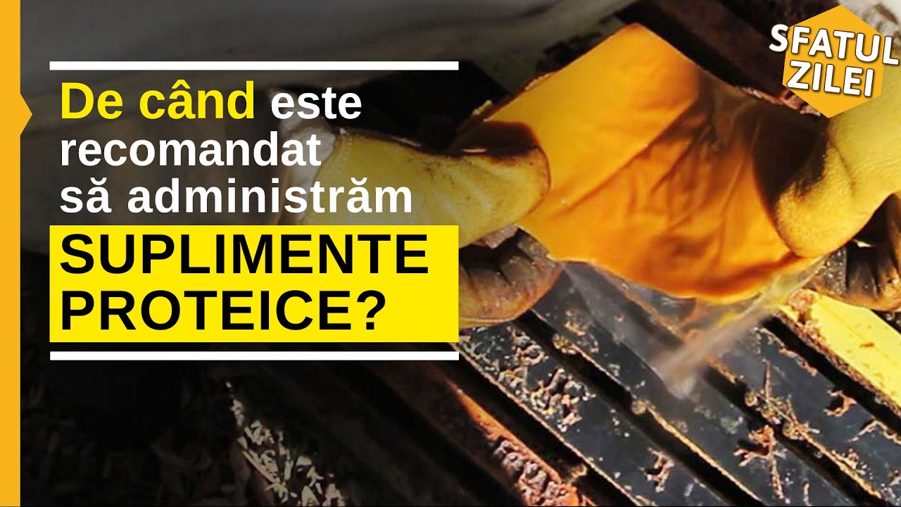 De cand este recomandat sa administram suplimente proteice?