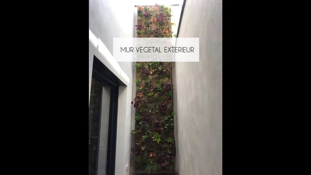 MUR VEGETAL EXTERIEUR 5M2