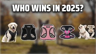 The Top 5 Best Small Dog Harnesses in 2025 - Must Watch Before Buying! screenshot 4