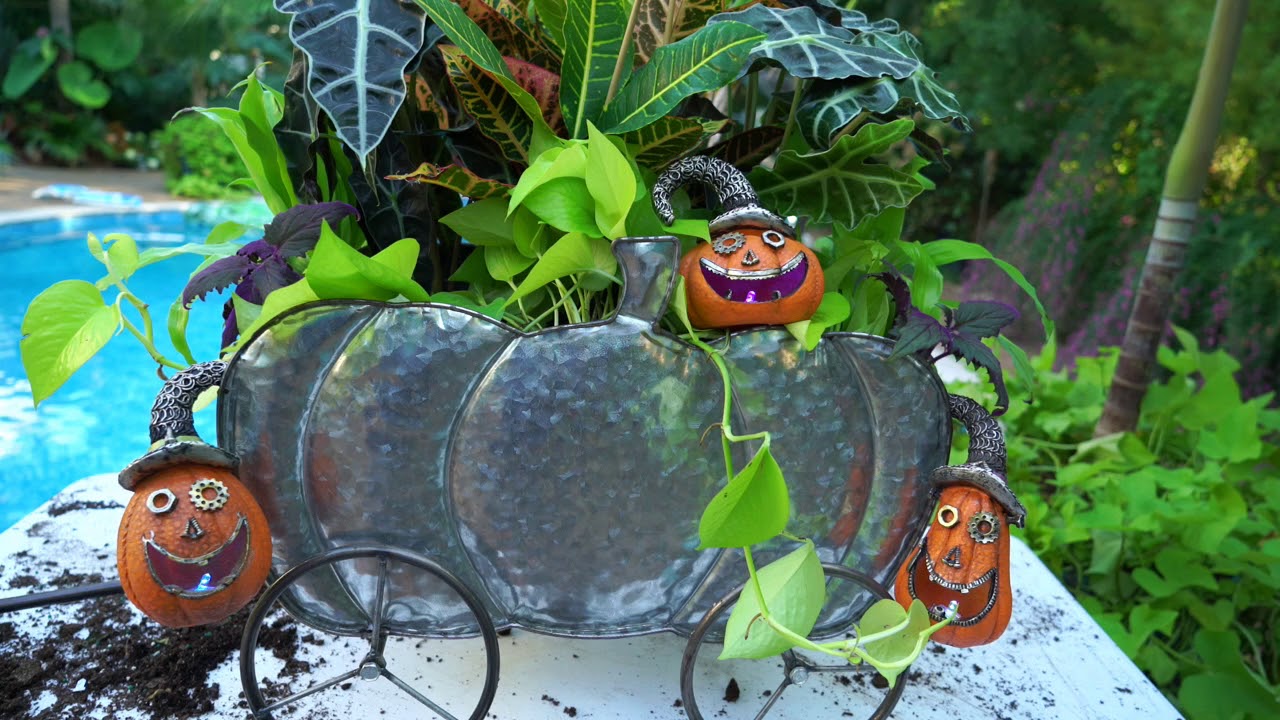 🌻🎃Halloween Houseplant Planter🎃🌻