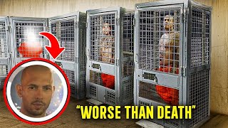 The Shocking Truth About Andrew Tate Exposed!