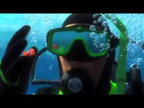 Tool - The Pot