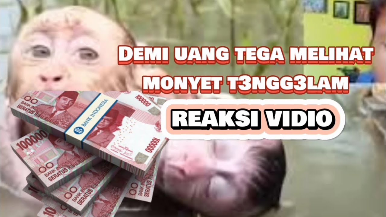 baby monkey swimming with its mother #monyetviral #monyetliar #monkeybaby