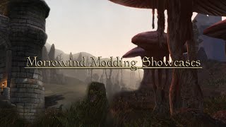 Morrowind Modding Showcases - The Eighth Episode