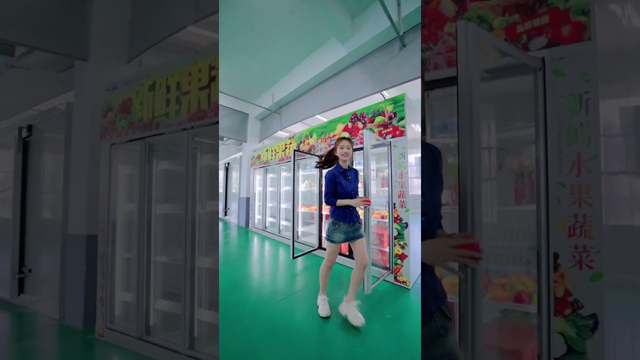 FLAND glass door display cold room