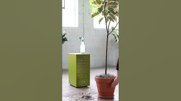 Go Green with Bisley: 8-Drawer MultiDrawer for Perfect Organization