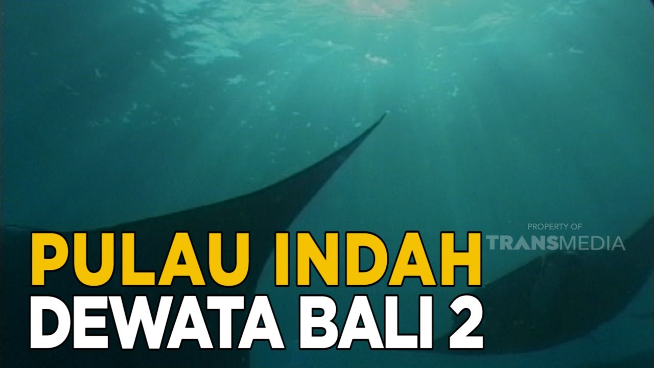 Indahnya dasar laut di Bali | JELAJAH 