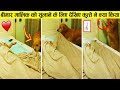 देखिए कुत्ते इंसानों के लिए क्या-क्या कर जाते है  | Dogs Did Things And Melted Everyone's Heart