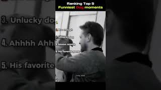 Top dog moments #memes #funny #ranking