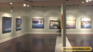 Bermuda Society of Arts - Bermuda YP