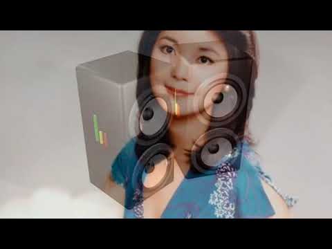 晶晶(Live) 鄧麗君