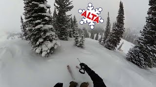 Vail Ridge and Sunnyside Lift at Alta Ski Area | First Tracks Powder Day