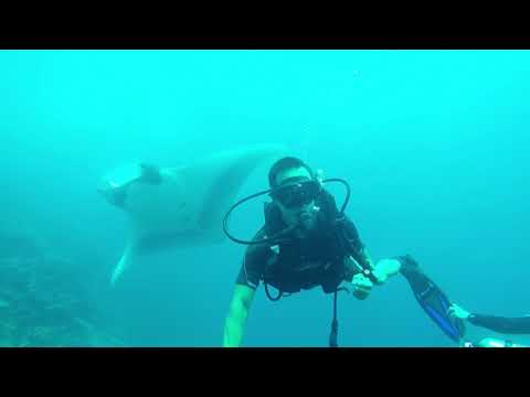 Galapagos People Diving Videos