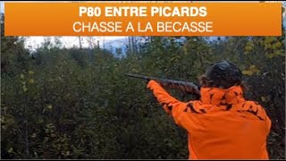 Chasse entre Picards: Reprise  Bécasses - US MN Oct. 2023 - Hunting between Picards: Following Birds