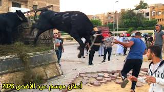 الإعلان التشويقي لفيديوهات موسم عيد الأضحى 2026 | ان شاء الله موسم دمار بعون الله تعالى🤲🤩