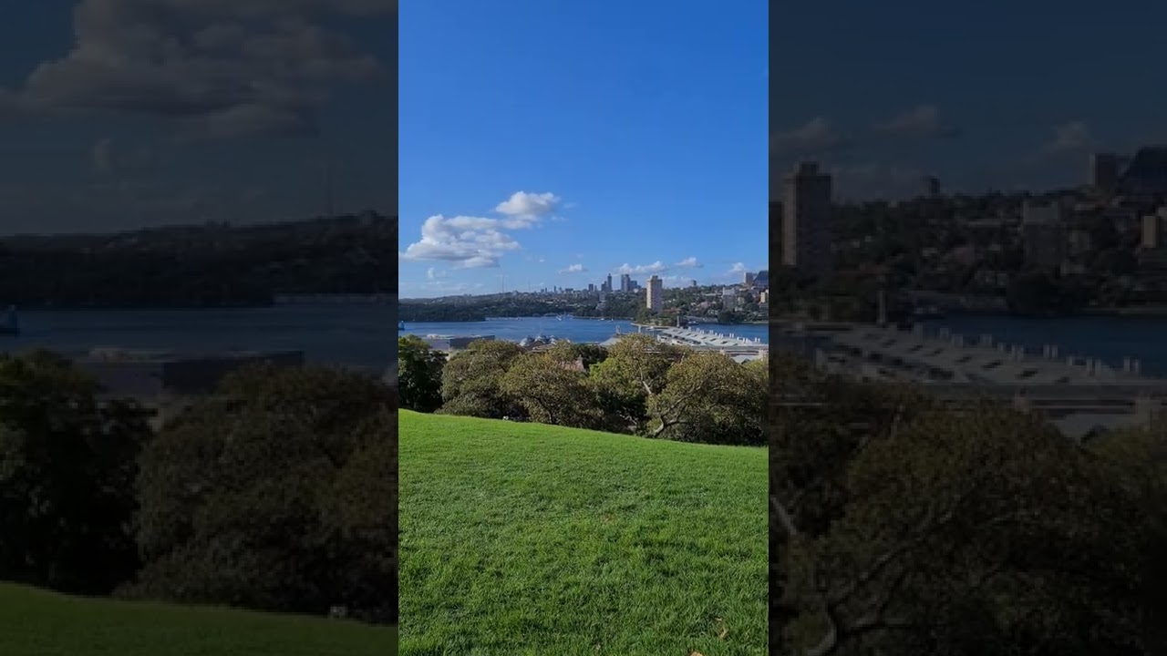 Observatory Hill; the best view in Sydney!