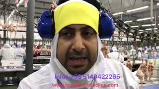An inside look at the poultry factory of Brf S.A BRAZIL