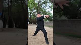 Shaolin Xinyi Quan Each Punch Strikes In A Line Hitting The Place Where The Ox