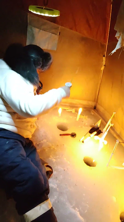 KILLER FISH 007 !!! TAGANKA 2023 !!! #fishing #alligatorsnappingturtle #carp #turtlewatching #carpfi