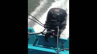 2006 Suzuki DF25 four stroke problem