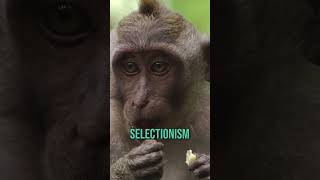 The real reason we're so enthusiastic about creationism...