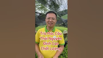 Trà Móc Câu Thái Nguyên - Đỉnh Cao Chất Lượng