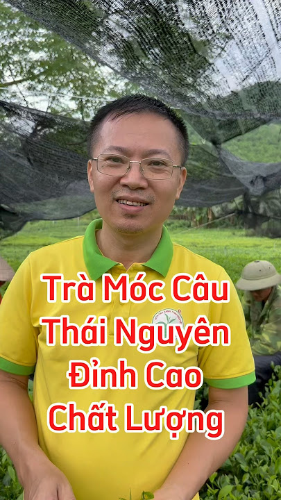 Tác động của sản xuất Trà Móc Câu Thái Nguyên đến phát triển kinh tế địa phương