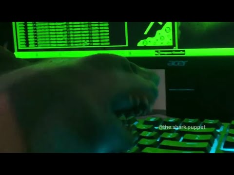 video editing software free SHARK PUPPET HACKS FORTNITE