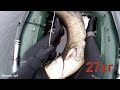 Чуть не "потерял"сома на 27кг.Подводная охота 2021.spearfishing for catfish