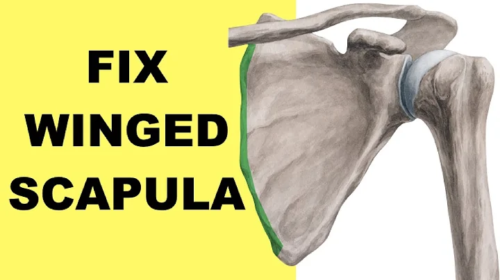 2 Winged Scapula Exercises to Fix Scapular Winging (Serratus Anterior & Levator Scapulae)