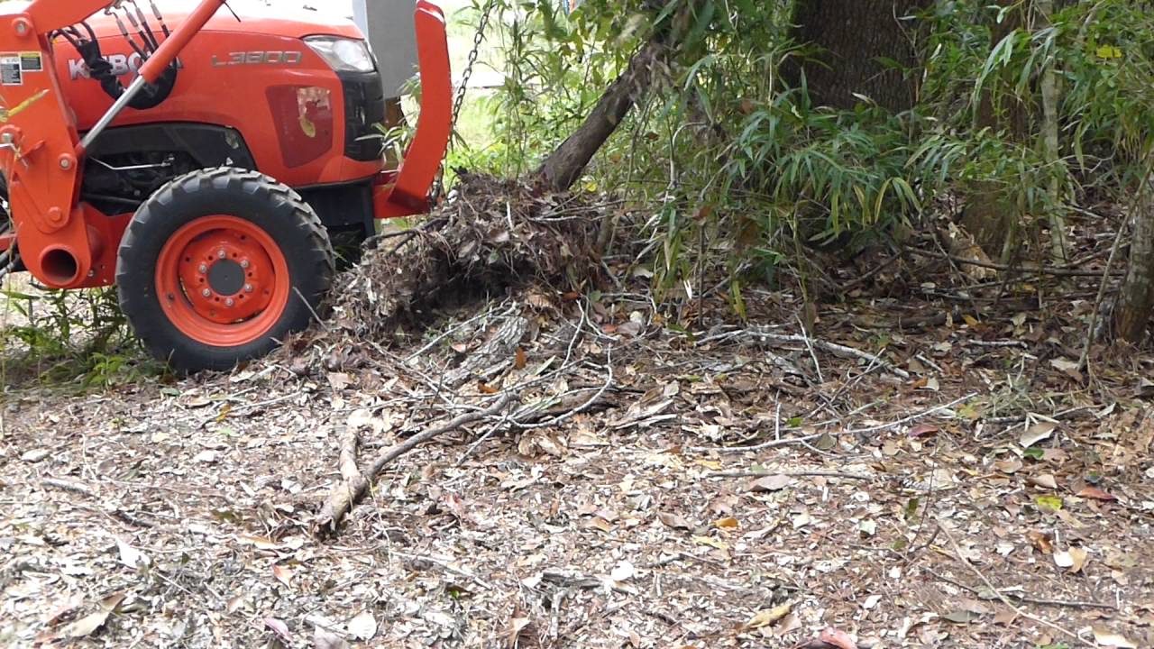 Pulling Up 4" Tree - YouTube