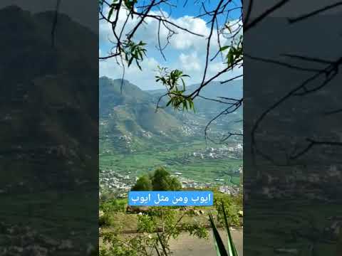 ايوب طارش قد دنا الليل ايوب طارش قددنا الليل