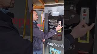 Présentation de la Dog-wash de Courtepatte pour le lavage de vos chiens aux portes du Morvan (Yonne)