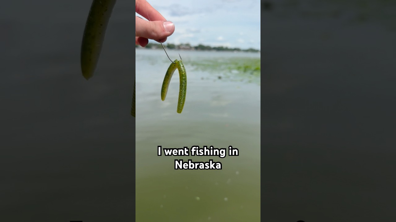 Bass fishing in Nebraska goes crazy 😮‍💨