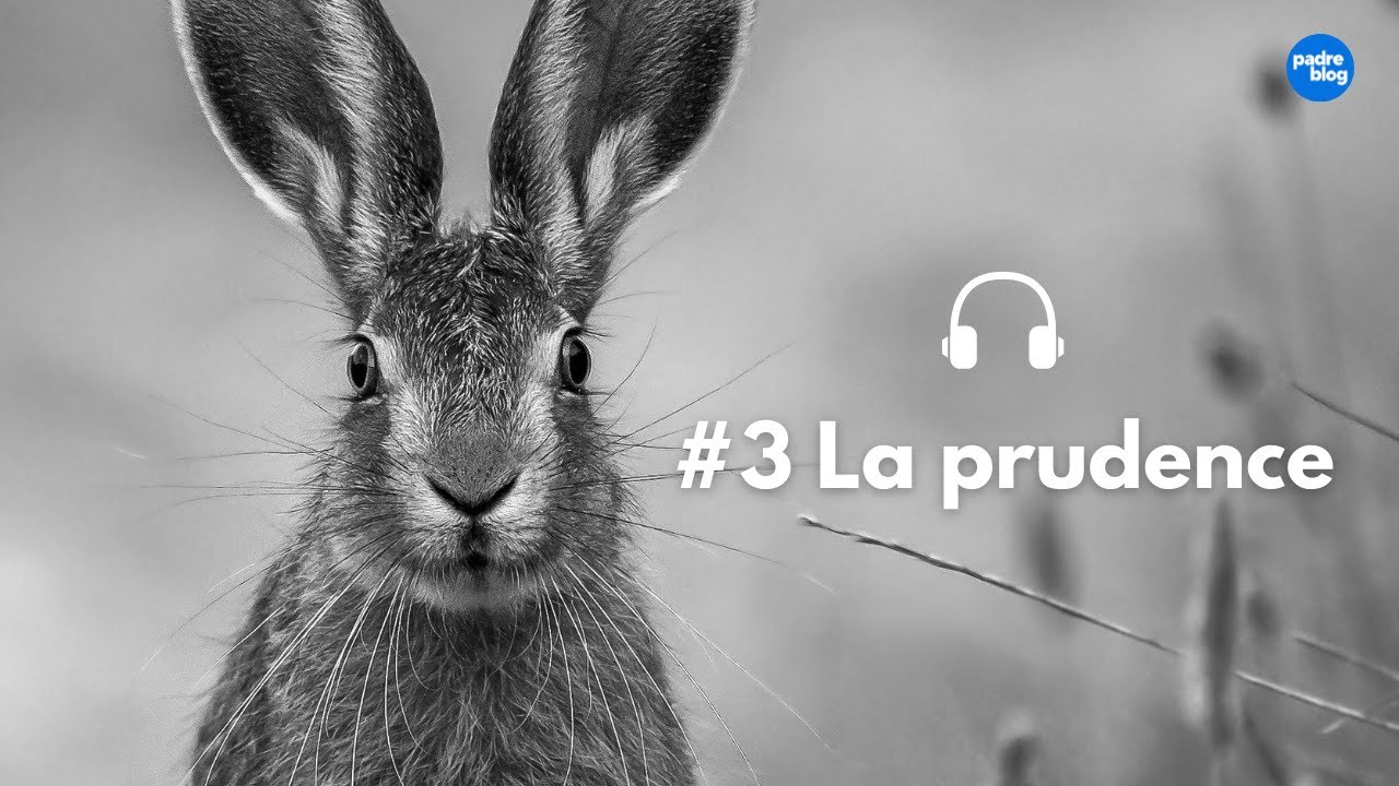 Les vertus : la prudence (S3E09)