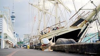 НОВАЯ ЗЕЛАНДИЯ - ФИЛЬМ 4 - НОВЫЕ ЛЮДИ НОВОЙ ЗЕЛАНДИИ НОВАЯ ЗЕЛАНДИЯ - ФИЛЬМ 4 - НОВЫЕ ЛЮДИ НОВОЙ ЗЕЛАНДИИ