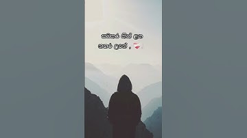 කතාව ඇත්ත නම් කමෙන්ට් කරන්න 🥺🥀sinhala wadan tik tok whatsapp status  | sinhala whatsap stories