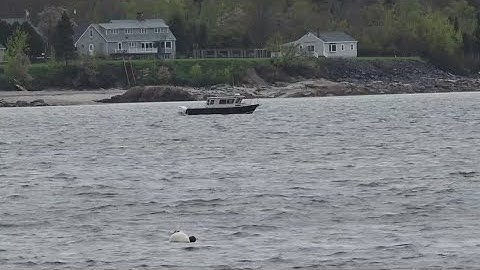 Search continues for missing Down East clammer