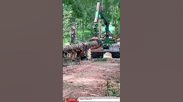 Best Innovative Forestry Machine for Cutting and Peeling Logs