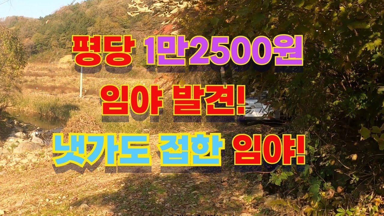 NO.613 단돈 4천만원! 3천평 넘는 임야를!   사람의 발길이 드문 청정지로 약초재배, 기도터, 토굴형 힐링공간에 적합한 자연형 토지입니다. 현황도로 있어요