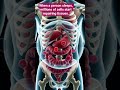 At night While the person sleeps, billions of cells continue repairing tissues & fighting invaders.