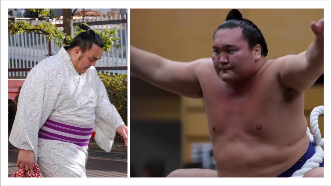 Sumo with the Kotoshoho Family