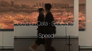 Ceyhun Qala- Sene gore bu dunyanin acisini çekerem(speed) Resimi